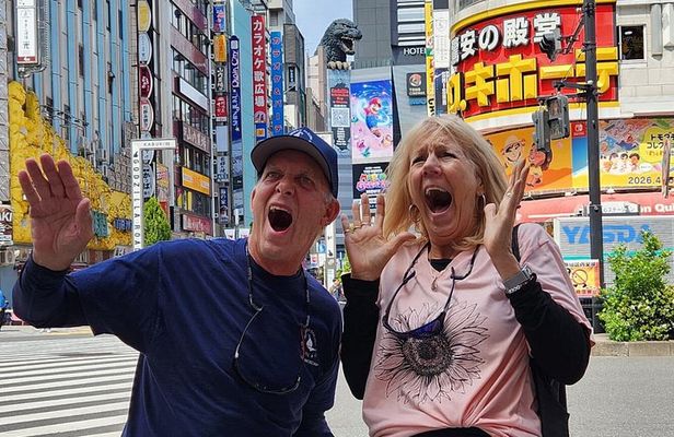 Tokyo Sightseeing City Tour by Private Car with English Driver