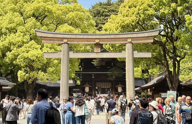 Tokyo Private Custom Highlights Tour with Local Guide