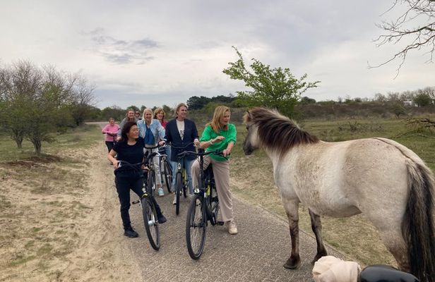 Bike Tour Haarlem | National Park | Dunes & Sea
