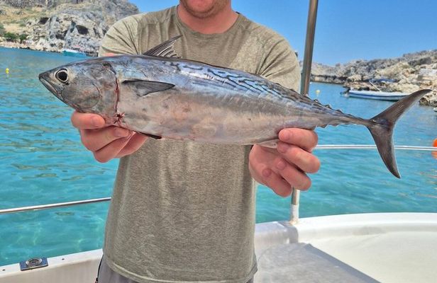 ALL FAMILY FUN: Fishing & Swimming with BBQ on Boat (Small Group)