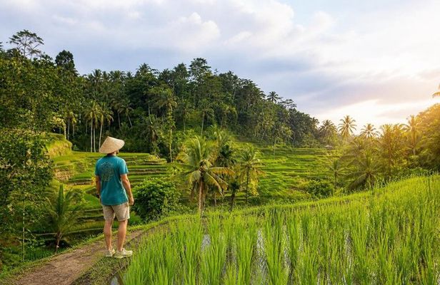 All-Inclusive Ubud Day Private Tour