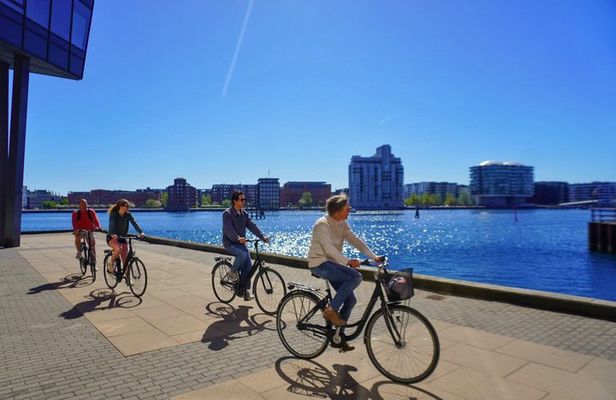 Private Gastronomy Bike Tour Copenhagen Food and Society 3 Hours
