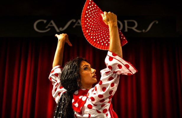 Barcelona Premium Flamenco Show: Tapas, Cocktail & Guitar Museum