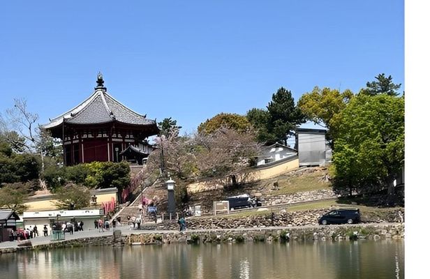 Nara Afternoon Sake Walk: Brewery Visit, Tastings & Local Streets