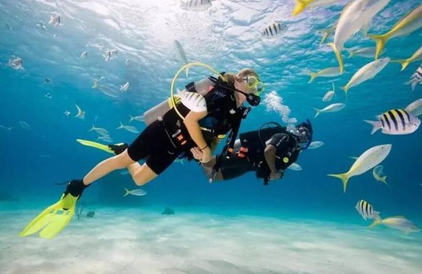 Boracay Diving w/ Pictures & Video or Fun Dive