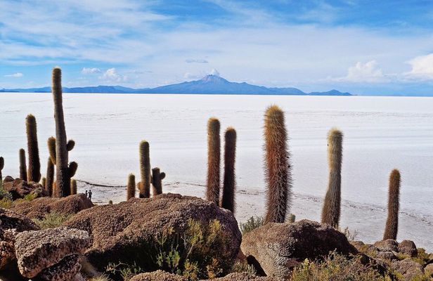 Salar de Uyuni and Lagunas Tour 2 Days 1 Night