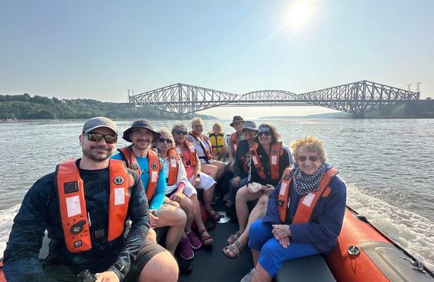 Guided Zodiac Tour Under the Iconic Bridges