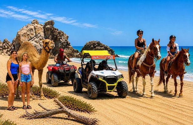 Los Cabos: Choose 3 – ATV, Razor, Camel interaction or Horseback