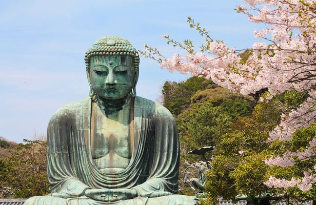 Kamakura & Enoshima Private Half-Day Walking Tour with Jeremy