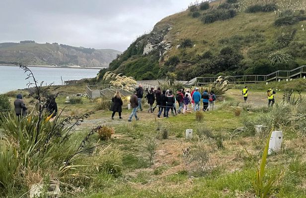 Behind The Scenes + Blue Penguins Pukekura Experience Tour