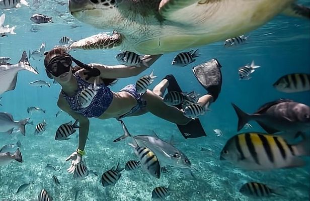 Private 3 Gili Islands Snorkeling Tour from Lombok