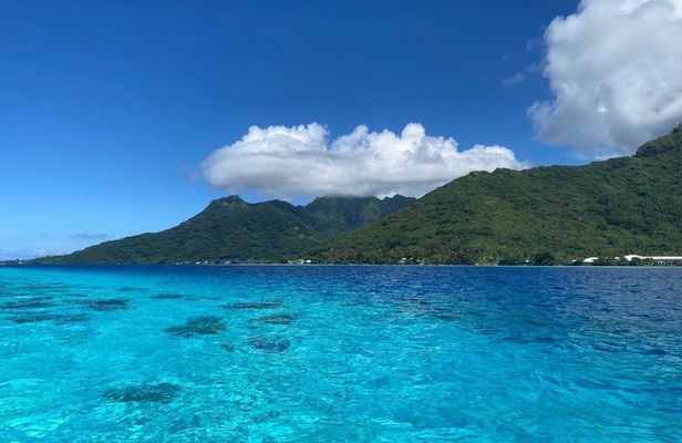 Scuba Diving Baptism in Moorea with Ia Ora Diving