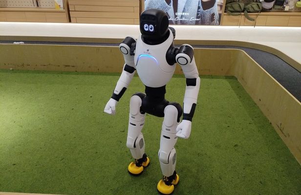Private Guangzhou High Tech Tour Robotaxi Drone Delivery and More