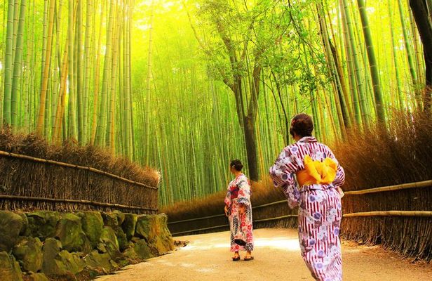 1 Day Kyoto UNESCO World Heritage Sites Bus Tour from Osaka/Kyoto