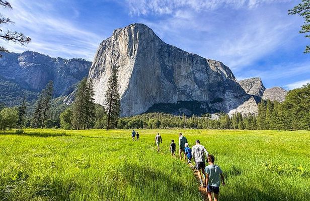 Yosemite Highlights Small Group Tour from Sonora & Groveland
