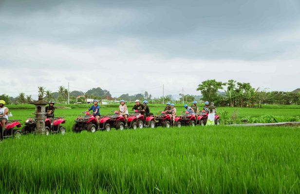 Ubud ATV Adventure with Legong Cave and Infinity Pool