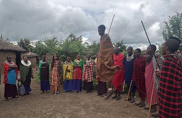 Maasai Village & Hot Springs or Materuni Waterfalls+ Coffee Tour