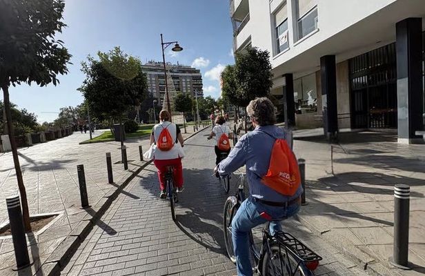 Seville: Guided small group bike and e-bike tour