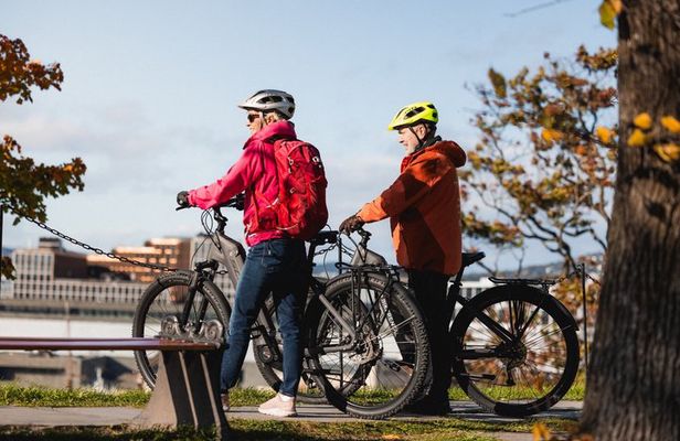 Private Highlights of Oslo by Bike