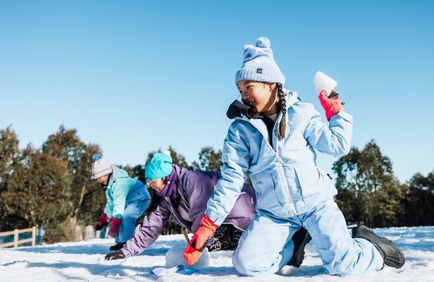 Lake Mountain Snow and Puffing Billy Tour from Melbourne