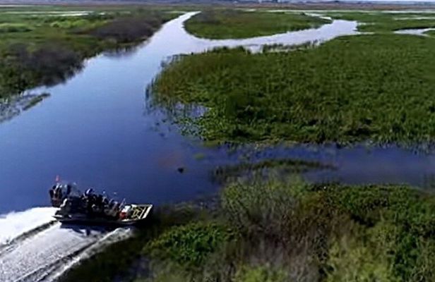 2-Hour Airboat Adventure