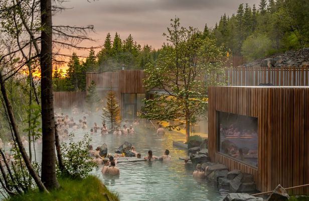 Forest Lagoon & Goðafoss Waterfall Small-Group Tour from Akureyri