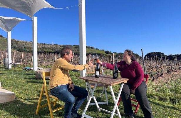 Wine Tour from Cagliari - Visit the vineyard and wine tasting