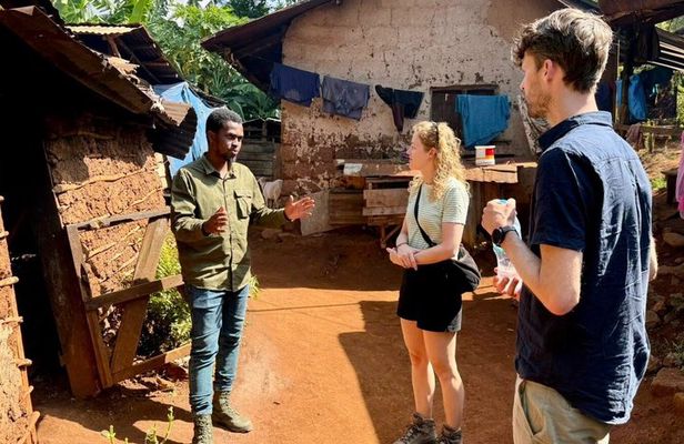 Moshi: Materuni Waterfall Hike & Coffee Tour and Traditional meal