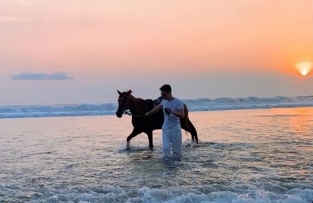 Sunset Seminyak Horseback Riding In The Beach Experience