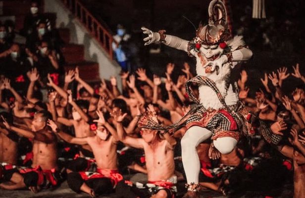 Private Ubud Custom Tour 10 Hour with Bali Driver