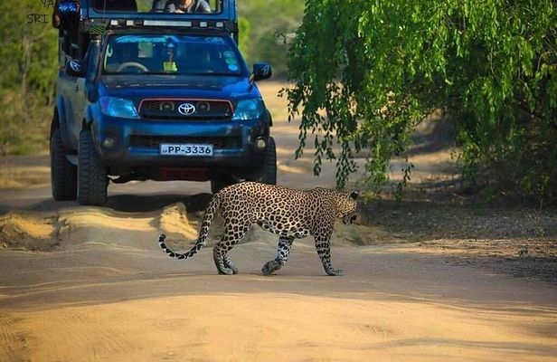 Yala National Park Safari Adventure