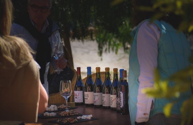 Alcohuaz Signature Wine Tasting