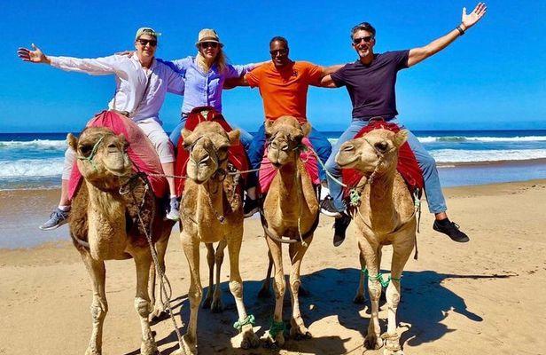 Luxury 4-Hour Private tangier Experience & Camel Ride