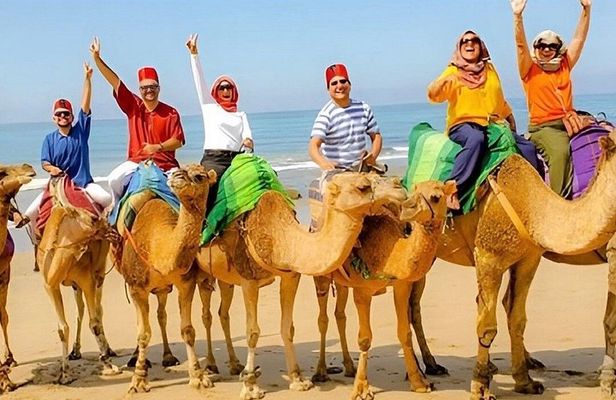 Luxury 4-Hour Private tour of Tangier