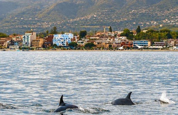 2.5 Hours Sunset Boat Tour in Search of Dolphins