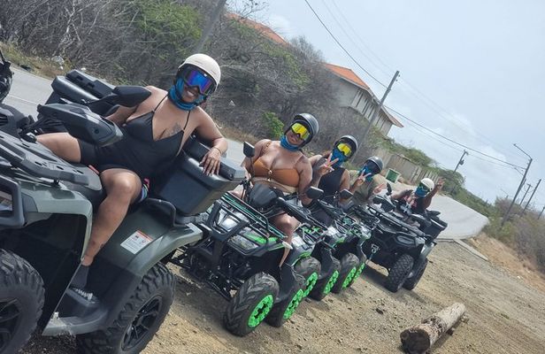 West Curaçao ATV Tour: Desert & Cave - Flamingo - Turtles...