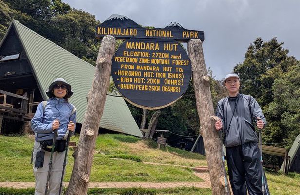 Kilimanjaro Day Trip from Moshi – Best One Day Hiking Tour