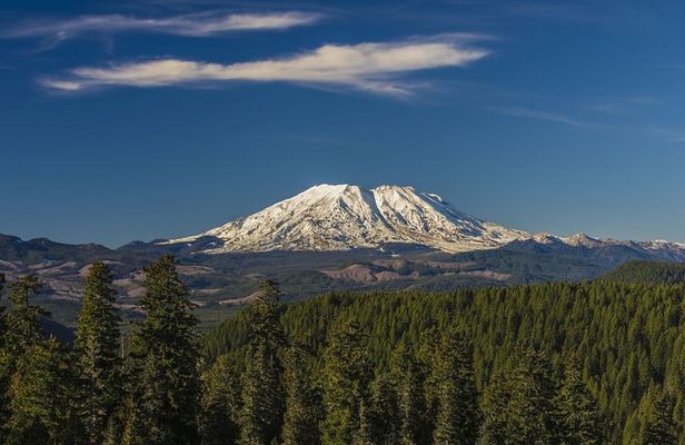 From Seattle: Mount St. Helens and Mount Rainier Private Tour