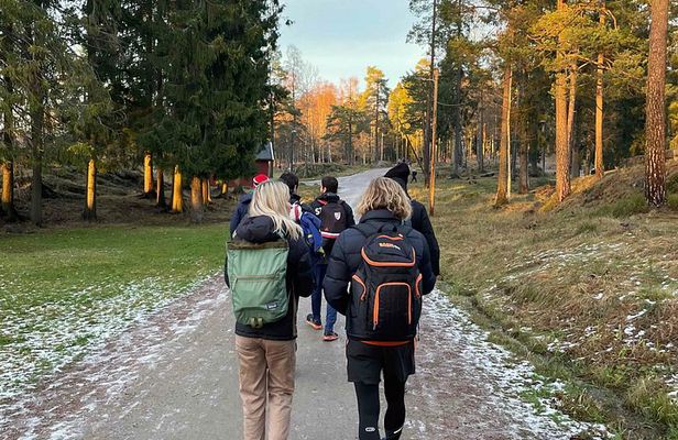 Viking Tales, Trails & Tastes