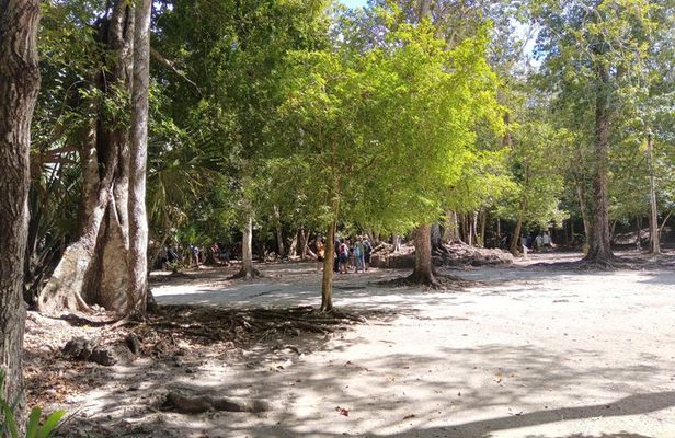 Private Tour To Chacchoben Mayan Ruins All Inclusive