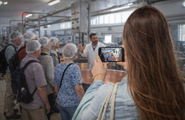 Parma: visit to the cheese factory and masterclass on Parmigiano Reggiano