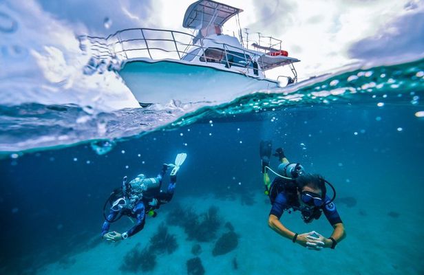 Private PADI 1-Day Scuba Certification in Cabo San Lucas