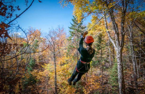 River Ziplines - Nature Tours