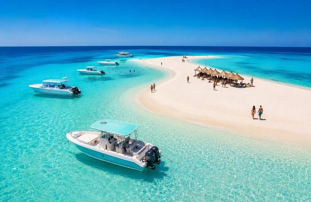 Private 4 Hour Speed Boat Tour to White Island and Dolphin House