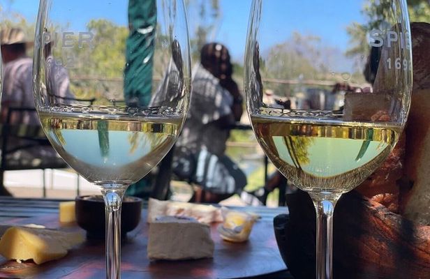 Cape Town Giraffe & Cheetah Encounter and Wine Testing.