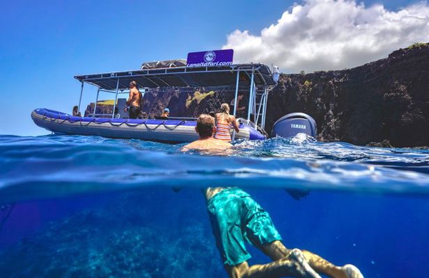 Lanai Snorkel Safari Experience from Maui