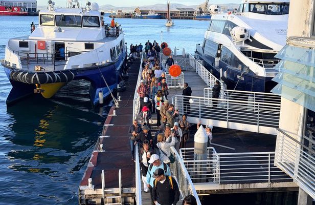 Robben Island Tour with Pre Booked Tickets and Transfers