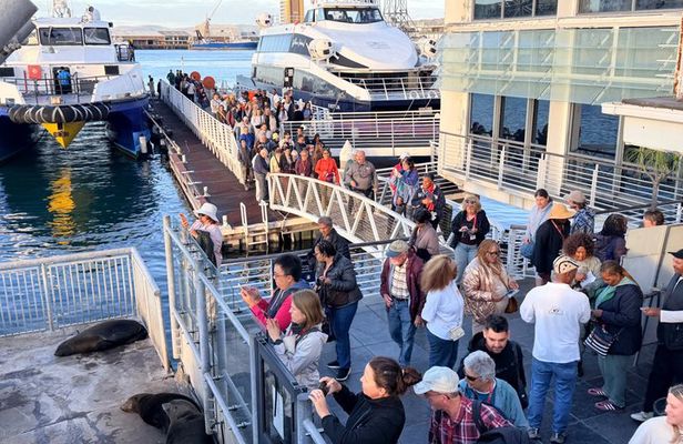 Robben Island Tour from Cape Town Pre-Booked Ticket