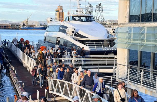 Cape Town Tour with Table Mountain Aquarium and Robben Island