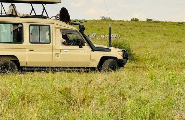 Nairobi National Park Guided Tour with Free Giraffe Center Visit
